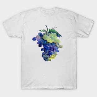 grapes growing for wine T-Shirt